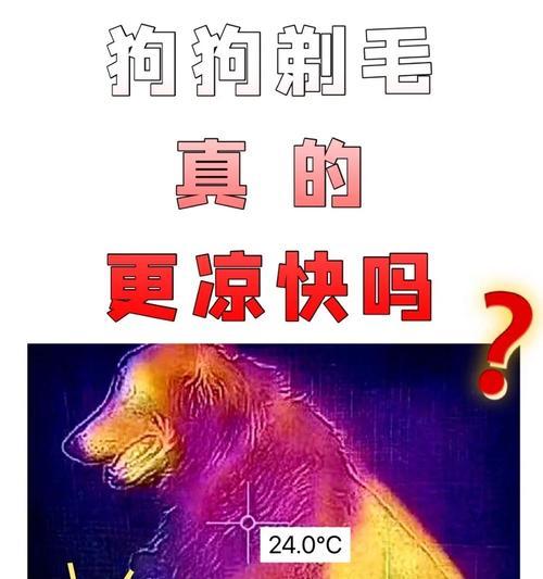 狗狗恒温充电器图解步骤详细吗？  第2张