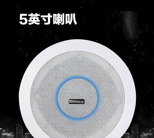 新科N29音响怎么样视频？音质效果如何？  第1张