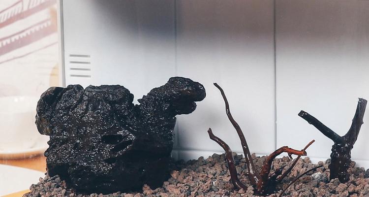 电视机鱼缸制作教程哪里找？  第2张